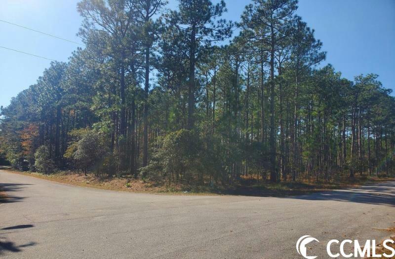 430 ARNOLD ST. Shallotte, NC 28470 Multi Family For Sale  MLS# 2324561