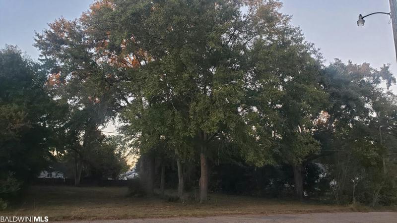305 E SCHOOL ST, Atmore, AL 36502 Single Family Residence For Sale  MLS# 338079