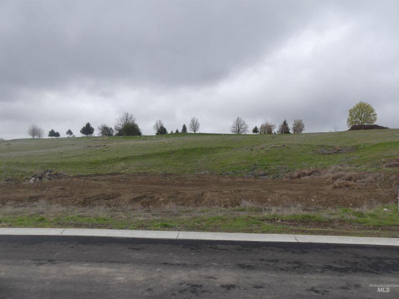 Lewiston, Nez Perce County, ID Undeveloped Land, Homesites for sale Property ID: 413261968