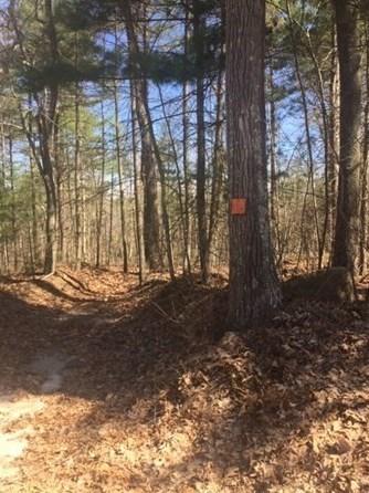 Lot 12 Town Farm Rd, Monson, MA 01057 - MLS 72812920 for Sale