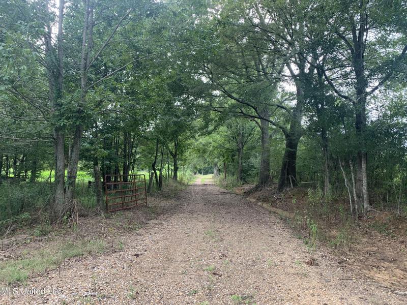 Conehatta, Newton County, MS Undeveloped Land for sale Property ID: 418599488