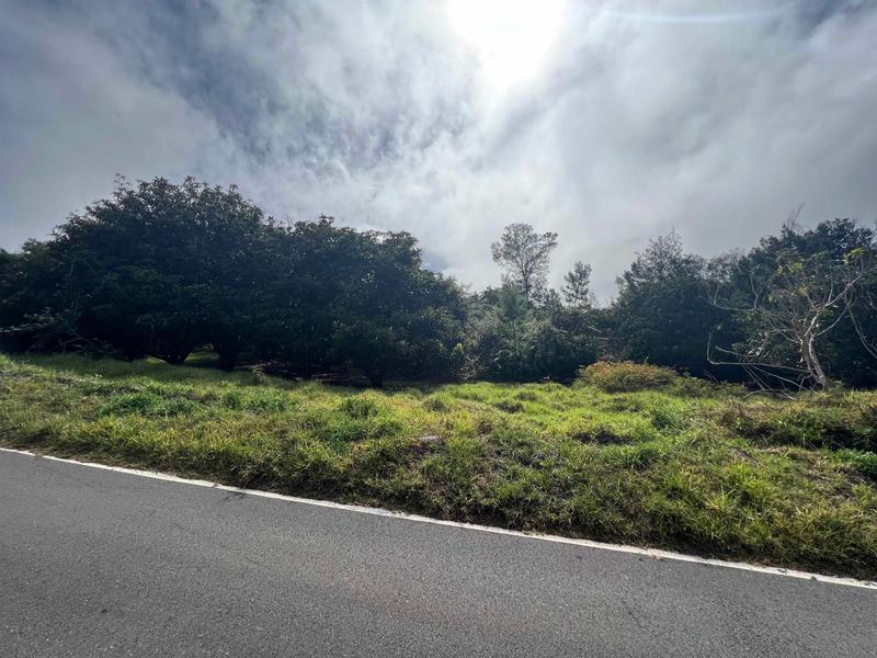 Waiakoa Road, Kula, HI 96790 for Sale