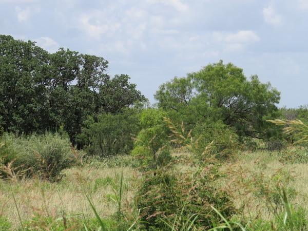 Eden, Concho County, TX Farms and Ranches, Recreational Property, Hunting Property for sale Property ID: 417366283