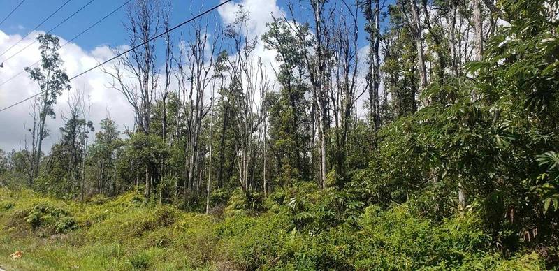 Lot 5417 Road 9 Koloa Maoli Hi 96760, Kurtistown, HI 96760 for Sale