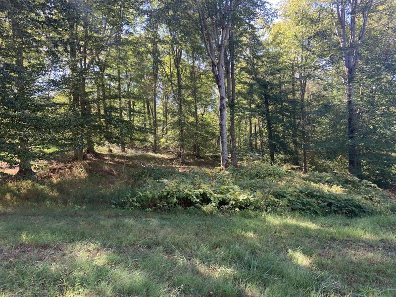 Jamestown, Russell County, KY Undeveloped Land, Homesites for sale Property ID: 417008973