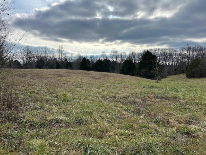 TRACT 4-4 RALEIGH WILSON ROAD, Bowling Green, KY 42101 Land For Sale  MLS# RA20240069