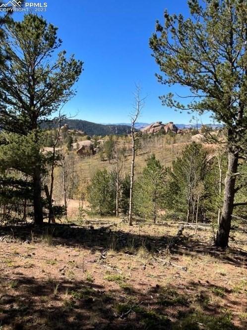 168 Wildhorse Rd, Cripple Creek, CO 80813 - MLS 8930066 for Sale