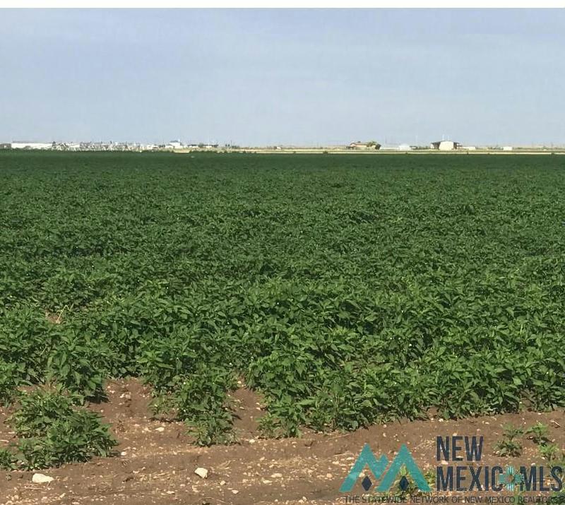 CORNER OF SE PAWNEE ST AND N WORLD DRIVE, Hobbs, NM 88242 Farm For Sale  MLS# 20233729