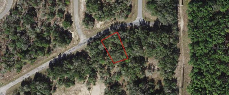 1562 West Delmane Drive, Citrus Springs, FL 34434 for Sale