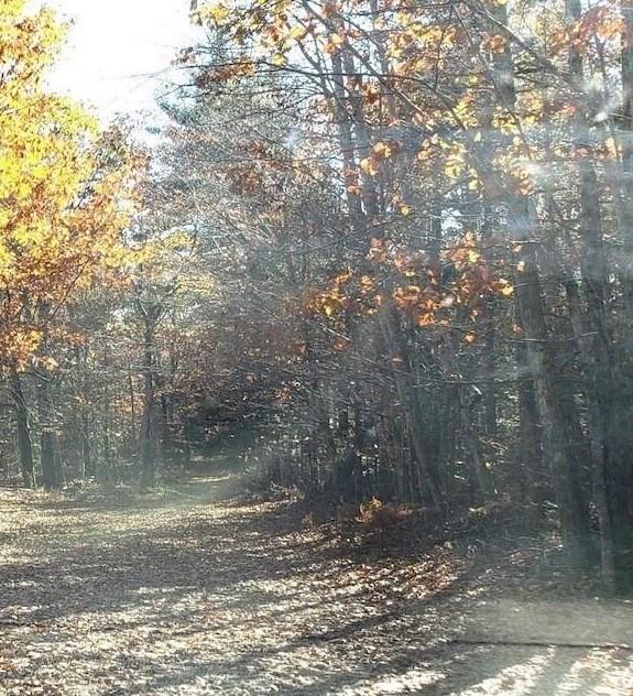 0 Doe Mill Road Rd, Washington, ME 04574 - MLS 1580874 for Sale