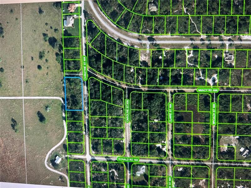 316 Christine Street Northwest, Lake Placid, FL 33852 for Sale