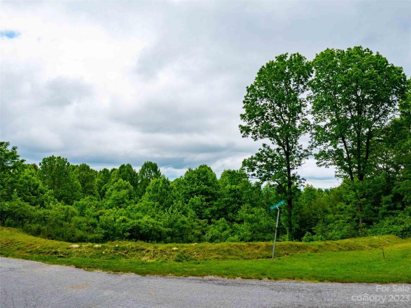 252 Pinewood Circle, Laurel Park, NC 28739 for Sale