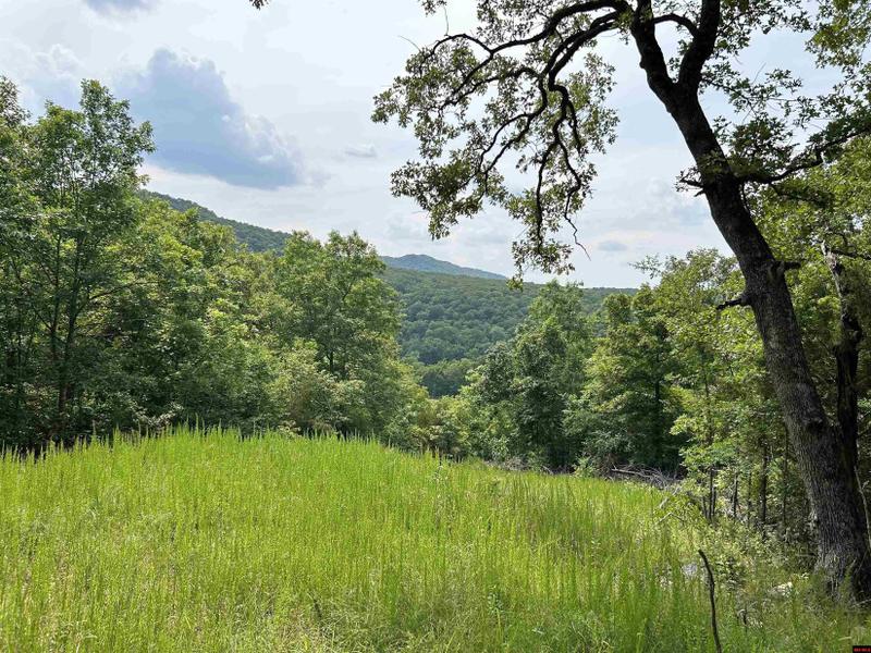 Mountain Home, Baxter County, AR for sale Property ID: 416779858