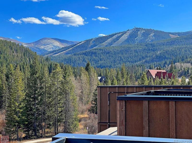 29 Ski Idlewild Rd, Winter Park, CO 80482 - MLS 3512327 for Sale