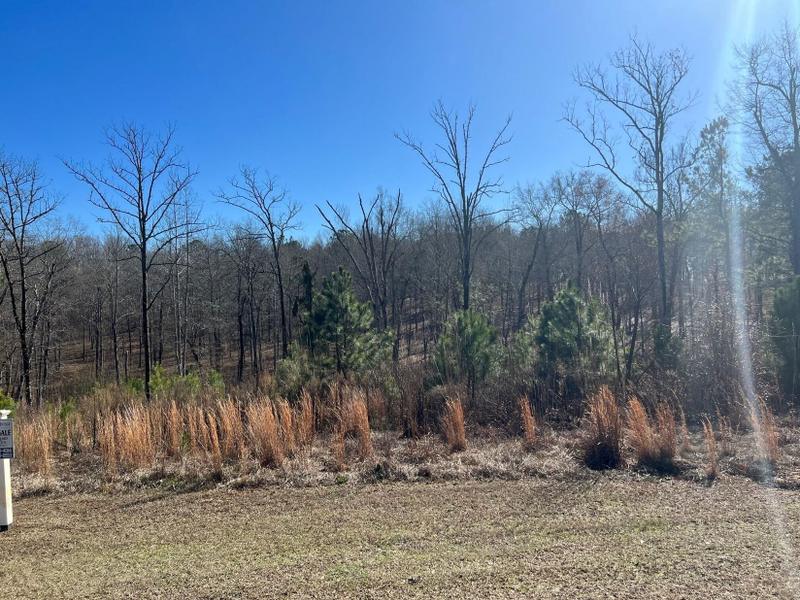 North Augusta, Edgefield County, SC Undeveloped Land, Homesites for sale Property ID: 415550235