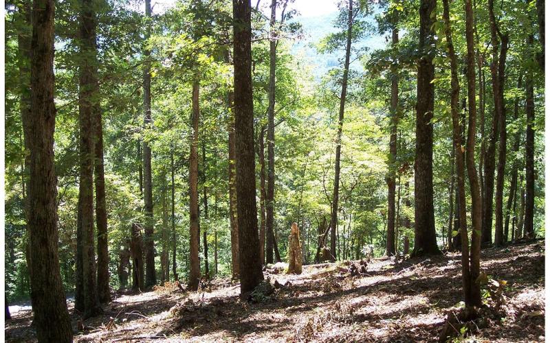 Hayesville, Clay County, NC Undeveloped Land, Homesites for sale Property ID: 337345102