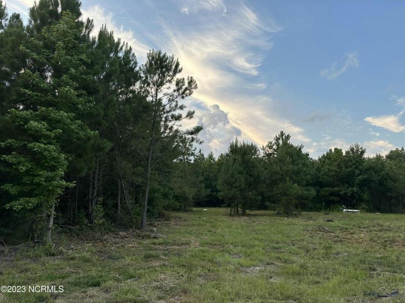 NEAR 1669 KLONperson ROAD, Chadbourn, NC 28431 Land For Sale  MLS# 100389108