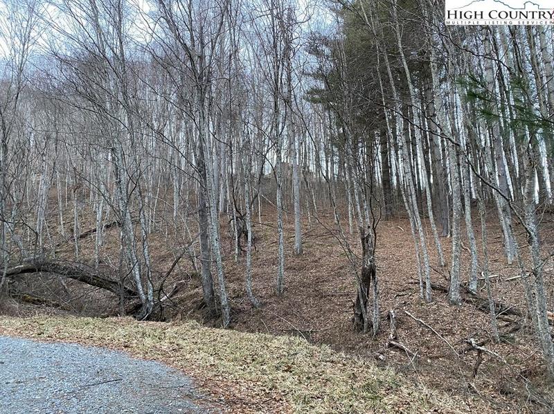 Lot 55 Laurel Mountain Dr, Sparta, NC 28675 - MLS 229234 for Sale