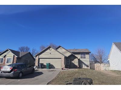 Spring Cir for Sale