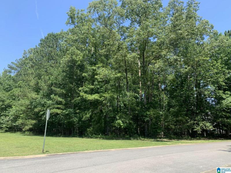 100 ENGLISH LANE # 1, RAINBOW CITY, AL 35906 Land For Sale  MLS# 1358292