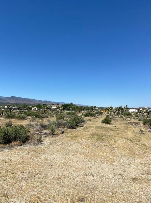 -0000, Pinon Hills, CA 92372 - MLS SR23094175 for Sale