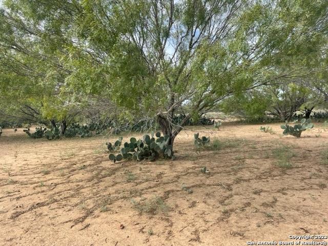 1 County Road 329, Jourdanton, TX 78026 for Sale