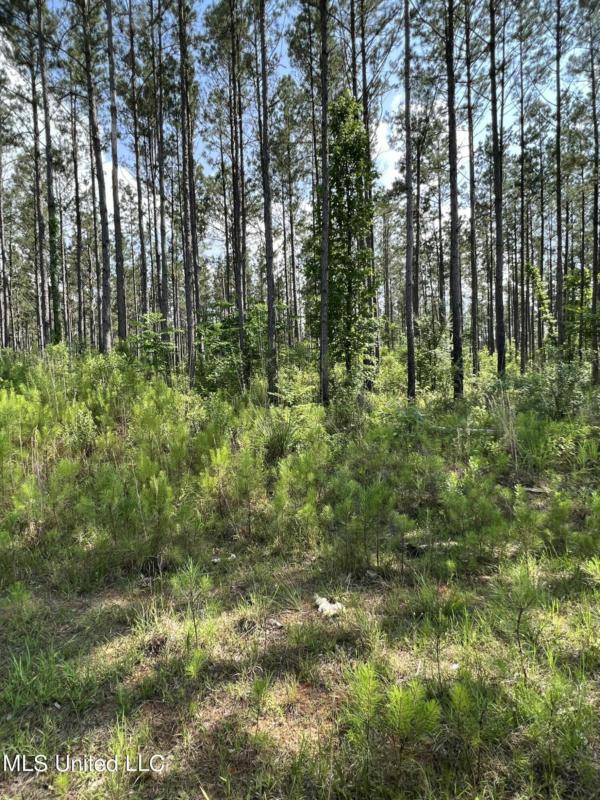 COAL BLUFF ROAD ROAD, Lena, MS 39094 Land For Sale  MLS# 4050214
