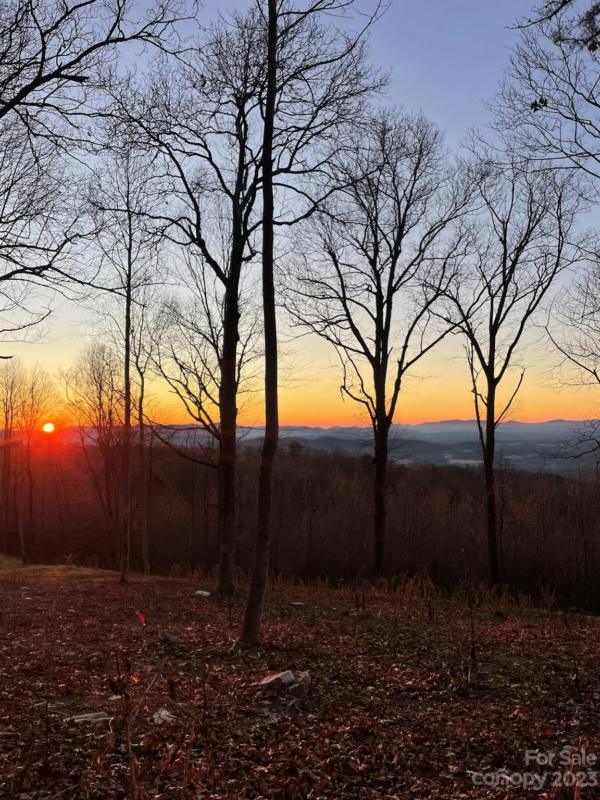 0000 EAST GARDEN TRAIL # LOT 40, Hendersonville, NC 28792 Land For Sale  MLS# 4098753