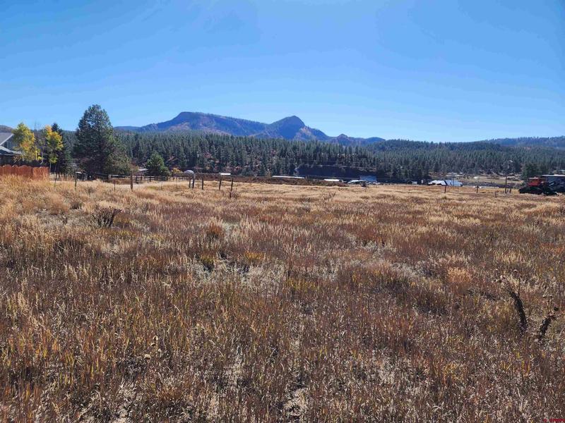 62 Cactus Drive, Pagosa Springs, CO 81147 for Sale