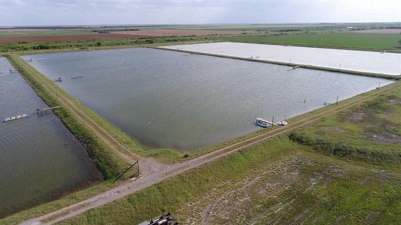 7979 Goyo Garcia Rd, Raymondville, TX 78580 for Sale