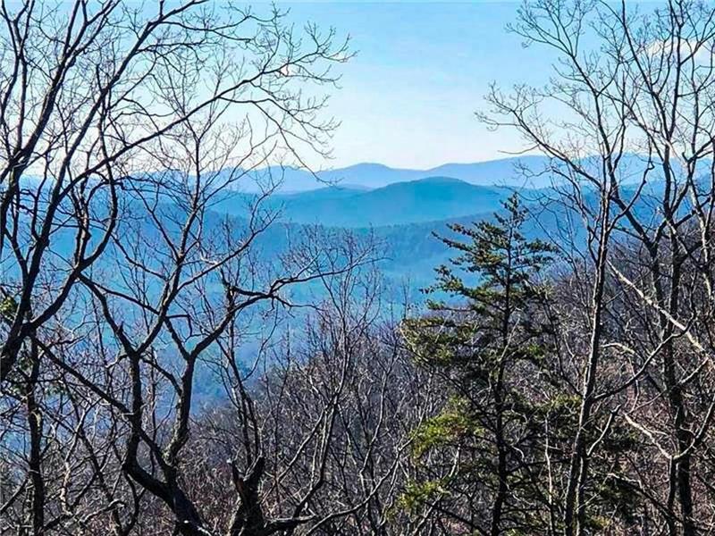 00 COOPERS GAP ROAD ROAD, Dahlonega, GA 30533 Land For Sale  MLS# 7259858