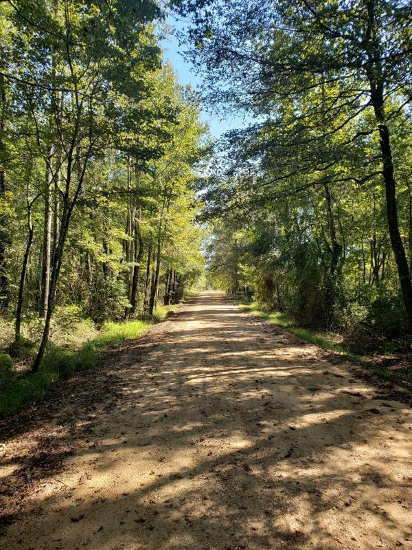 Buckner, Lafayette County, AR Recreational Property, Timberland Property, Hunting Property for auction Property ID: 418023761 for Sale