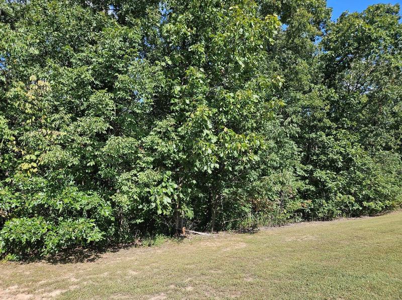 0 Lot 9 Tarrant's Estates, Bowling Green, MO 63334 - MLS 23053456 for Sale