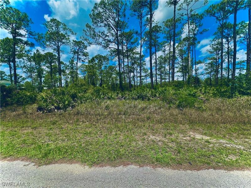 1015 Euclid Avenue, Lehigh Acres, FL 33972 for Sale
