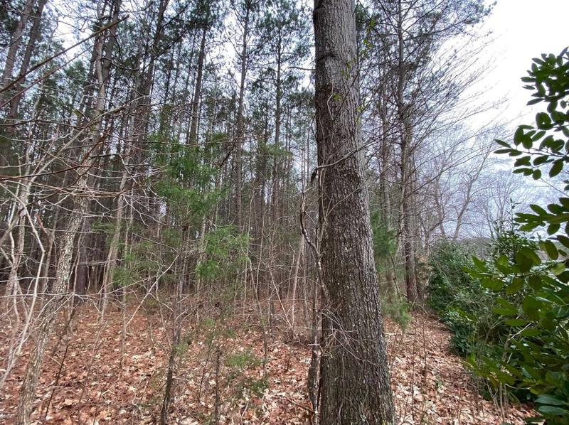 0 S Owen, Littleton, NC 27850 - MLS 2436336 for Sale