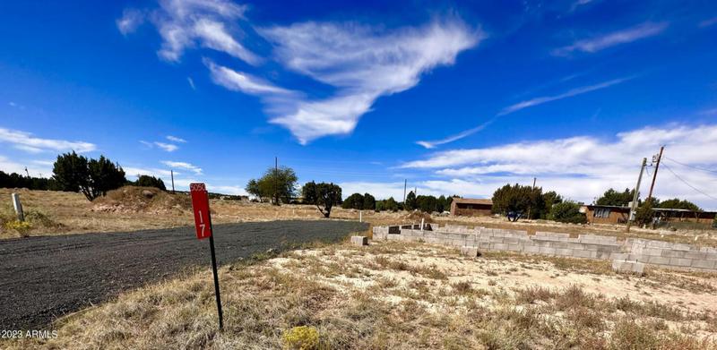 17 FRONTAGE LN # 1, Concho, AZ 85924 Land For Sale  MLS# 6611343 for Rent