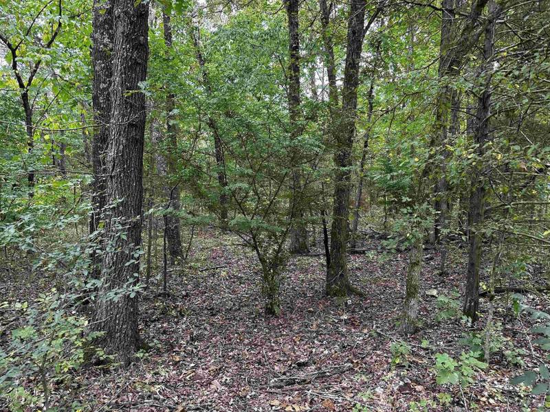 Horseshoe Bend, Izard County, AR Undeveloped Land, Homesites for sale Property ID: 417857315