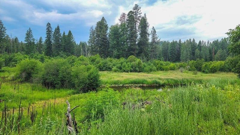 Elk, Pend Oreille County, WA Undeveloped Land, Lakefront Property, Waterfront Property for sale Property ID: 417094318