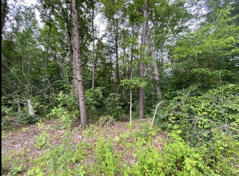 Williamsburg, Whitley County, KY Undeveloped Land for sale Property ID: 417972501