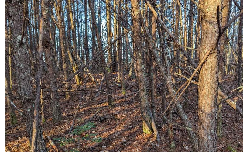 Turtletown, Polk County, TN Undeveloped Land for sale Property ID: 418839349