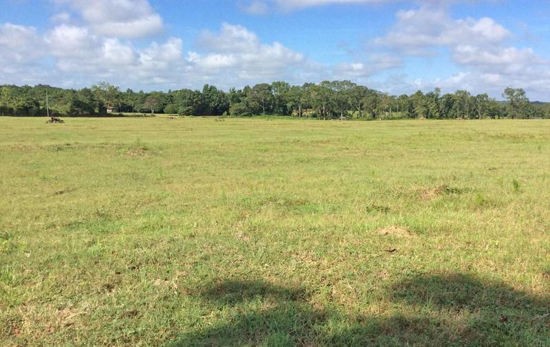 Luverne, Crenshaw County, AL Recreational Property, Hunting Property for sale Property ID: 411449112