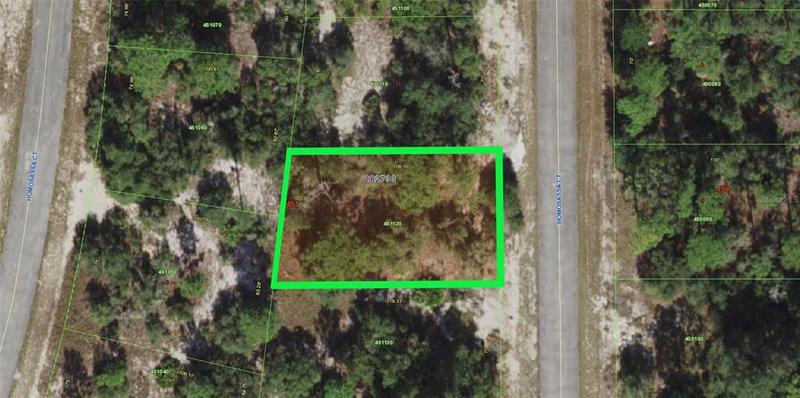 1310 Homosassa Court, Poinciana, FL 34759 for Sale
