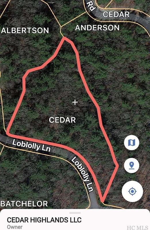 Lot 38 Loblolly Lane, Cashiers, NC 28717  605177041 for Sale