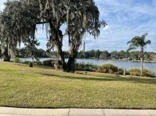 519 W Blue Water Edge Dr, Eustis, FL 32736 - MLS A4558770 for Sale