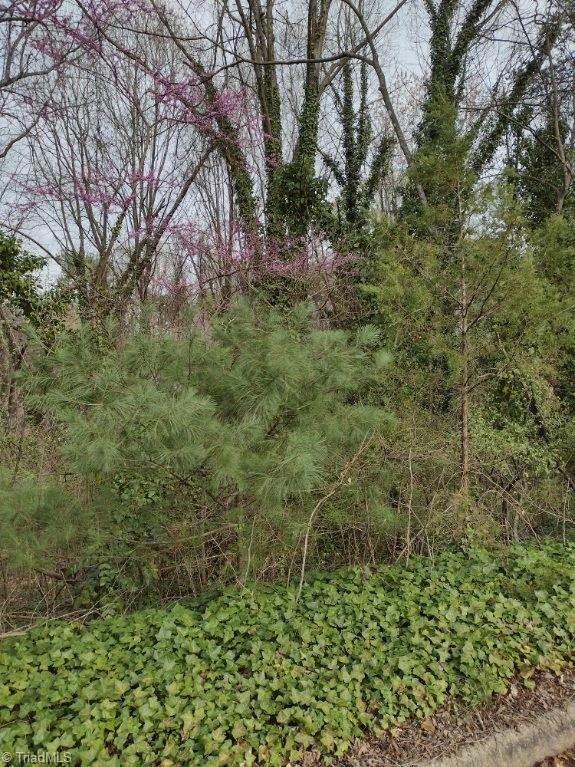 0 GREGORY LANE, Statesville, NC 28677 Land For Sale  MLS# 1101339