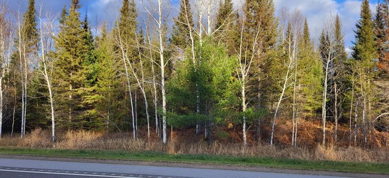 Xx16 27 Crane Lake Rd, Crane Lake, MN 55725 - MLS 6455852 for Sale