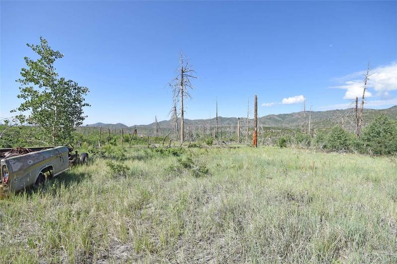 30 Acres Canon Del Norte Area, Jemez Springs, NM 87025  608774764 for Sale