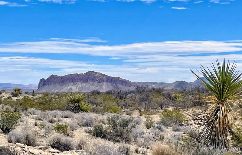 4073 Tennyson Desert Trail, Terlingua, TX 79852 for Sale