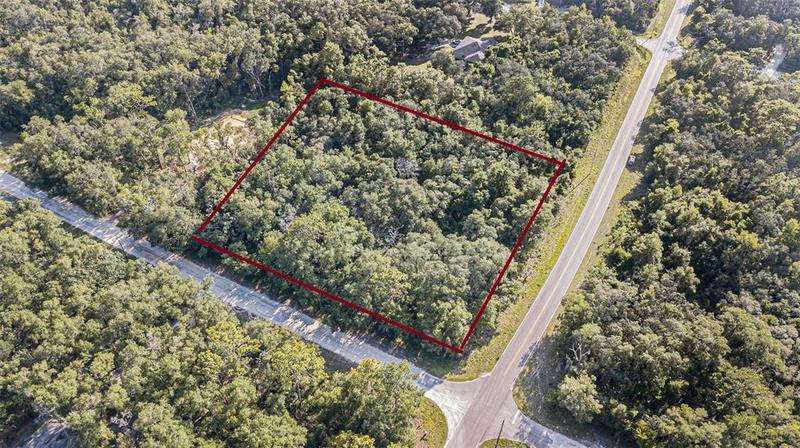 0 Richardson Boulevard, Webster, FL 33597 for Sale