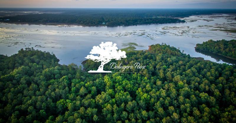 3873 Delinger Dr Mount, Mount Pleasant, SC 29466 for Sale